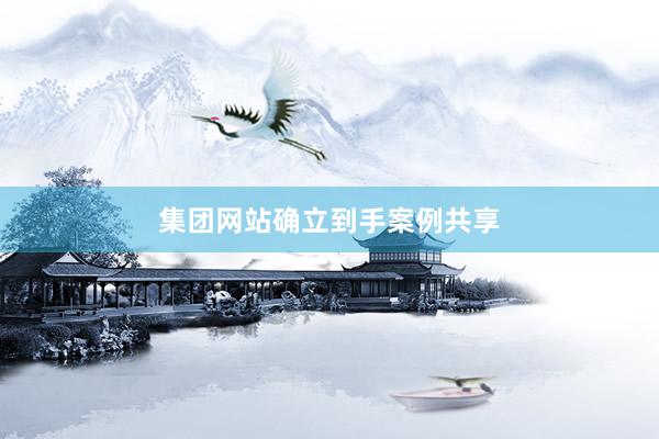 集团网站确立到手案例共享