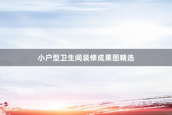 小户型卫生间装修成果图精选